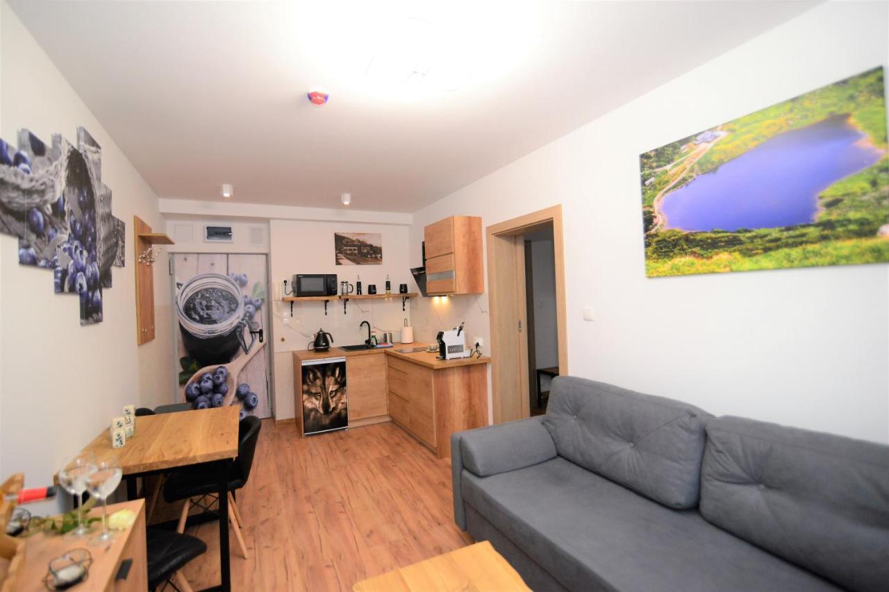 Apartament De Luxe Emily Karpacz Exterior photo